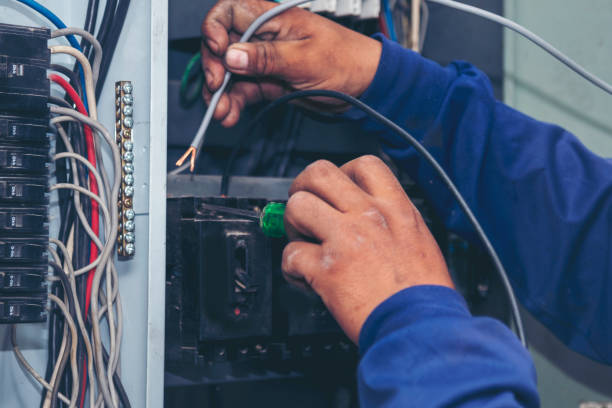 Best Electric Panel Repair  in Southmayd, TX